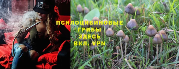 МДПВ Магас