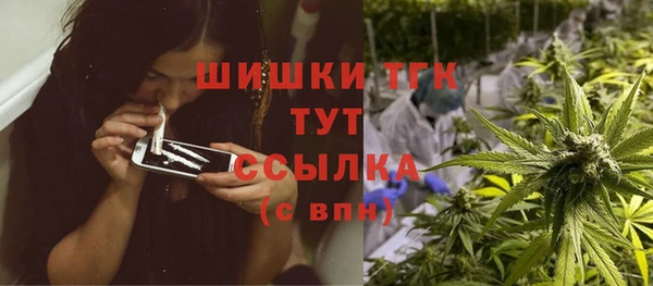 МДПВ Магас